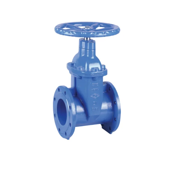 BS 5163 ZWROTNY ZAWÓR ZAWORNIKA Bramy NRS PN25